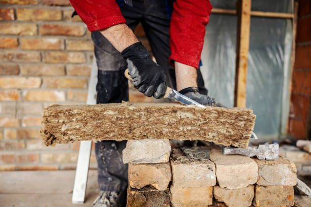Best Residential Insulation Services  in Rogersville, TN